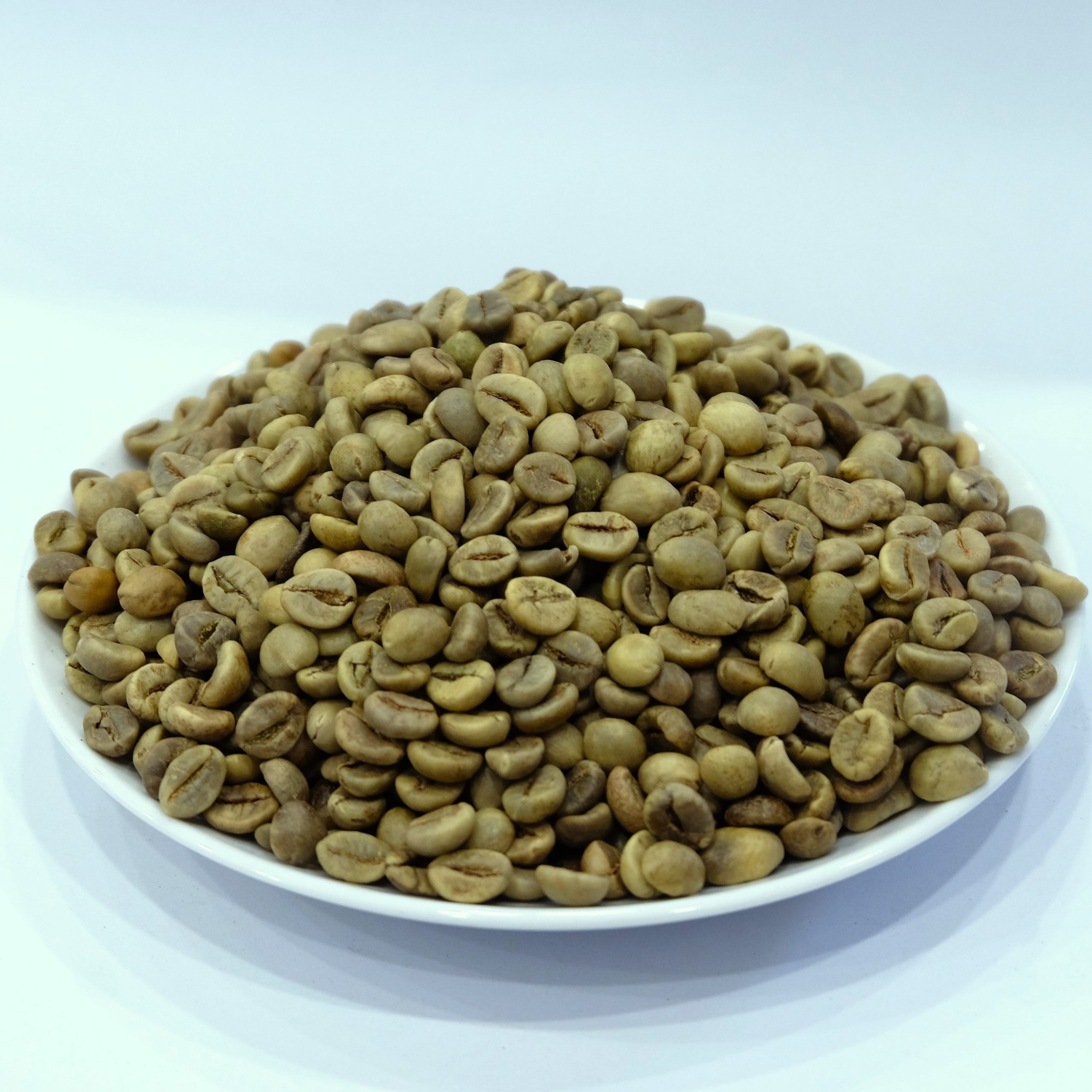 Unwashed robusta green coffee beans Grade 1 screen 16