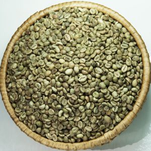 Unwashed robusta green coffee beans Grade 2 screen 13