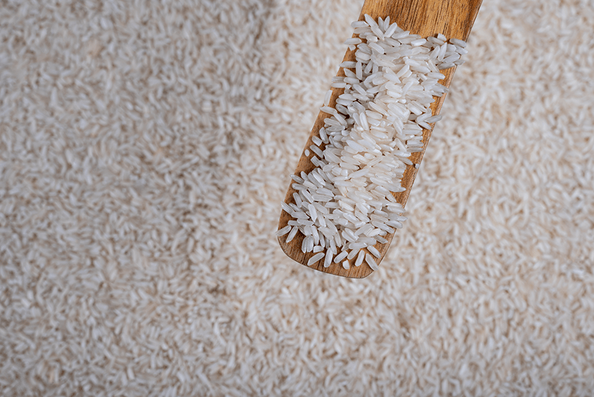 Long Grain White Rice 504