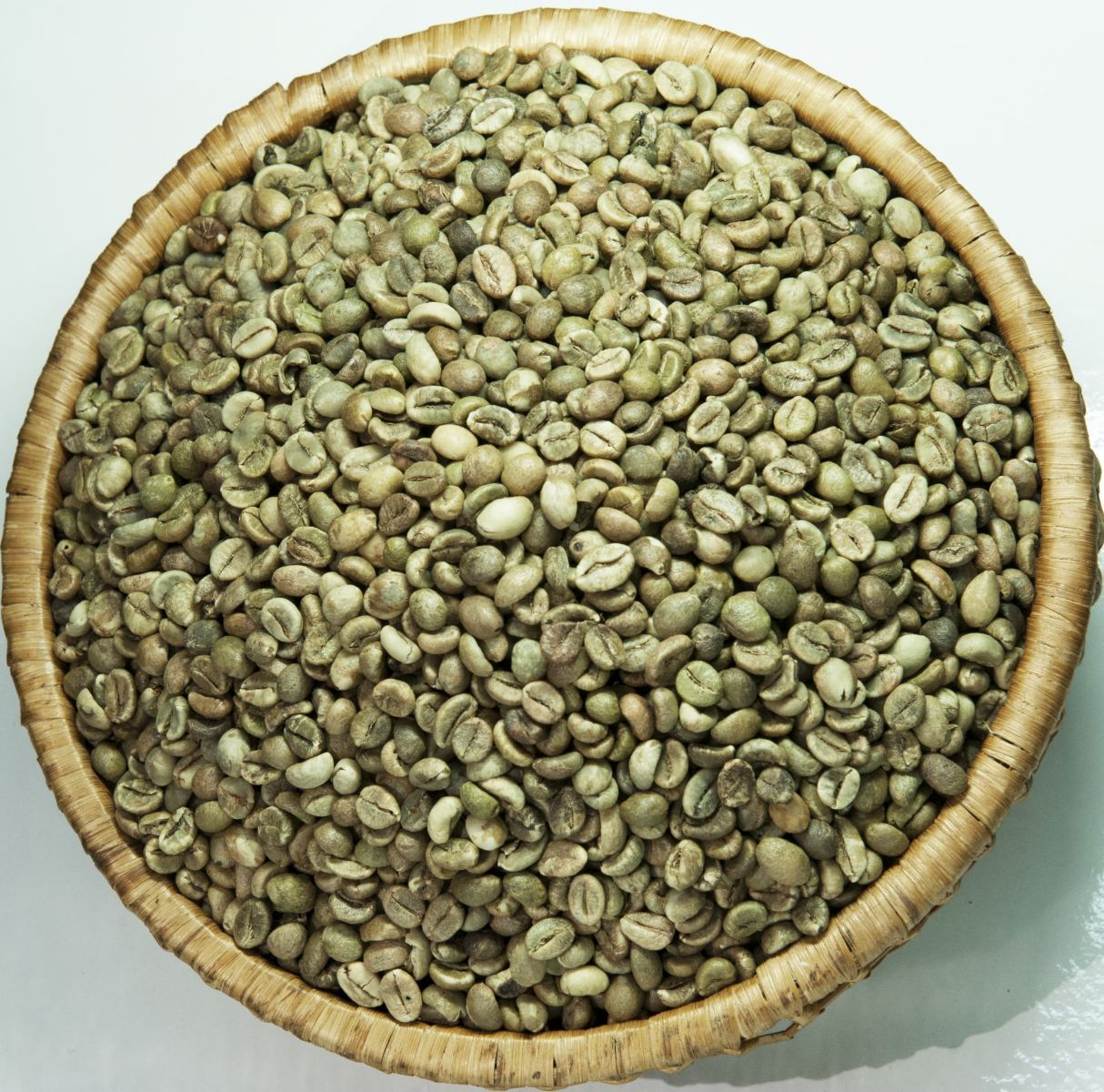 Unwashed robusta green coffee beans Grade 2 screen 13