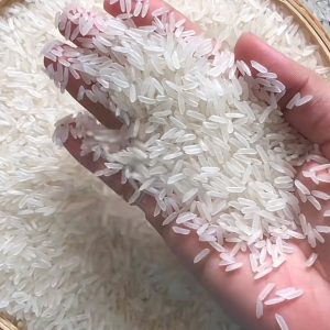 Long Grain Fragrant Rice DT8