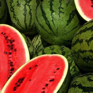 Watermelon