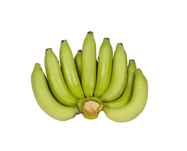 Cavendish Banana